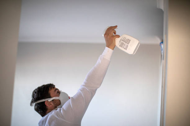 Best Best Mold Removal Companies  in Moa, UT