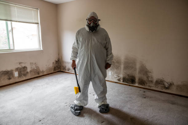 Office Mold Removal Services in Moa, UT